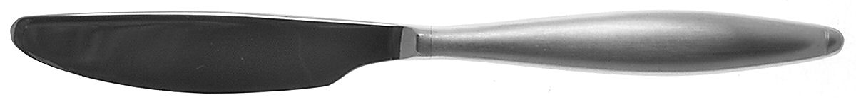 Danube (Stainless) Hollow Handle Master Butter Knife by Oneida Silver-1