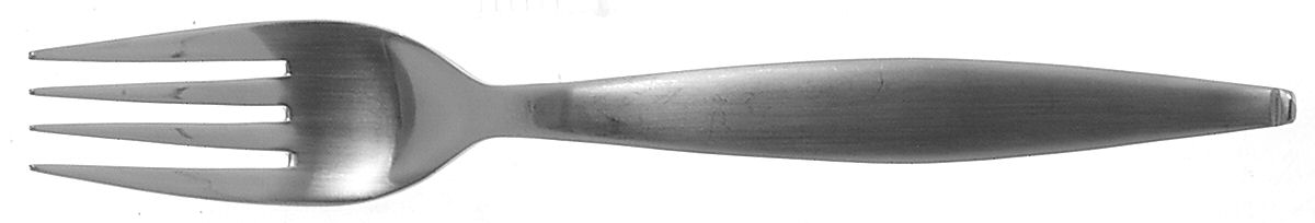 Danube (Stainless) Individual Salad Fork by Oneida Silver-1