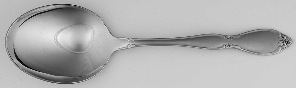 Satin Chatelaine (Stainless, Satin) Solid Smooth Casserole Spoon by Oneida Silver-1