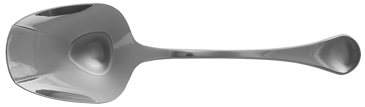 Caprice (Stainless) Solid Smooth Casserole Spoon by Oneida Silver-1