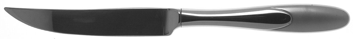 Paramount (Stainless) Individual Steak Knife Hollow Handle by Oneida Silver-1