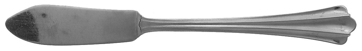 Kimbra (Stainless) Flat Handle Master Butter Knife by Oneida Silver-1