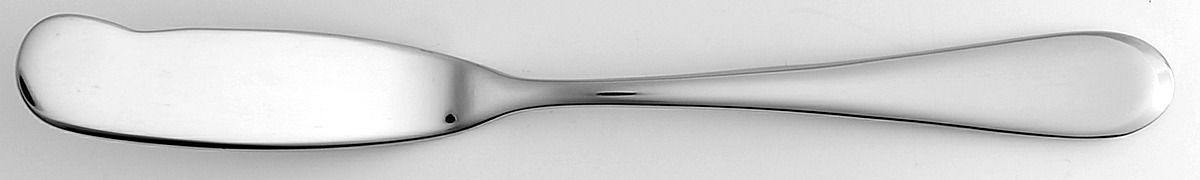 Icarus (Stainless) Flat Handle Master Butter Knife by Oneida Silver-1