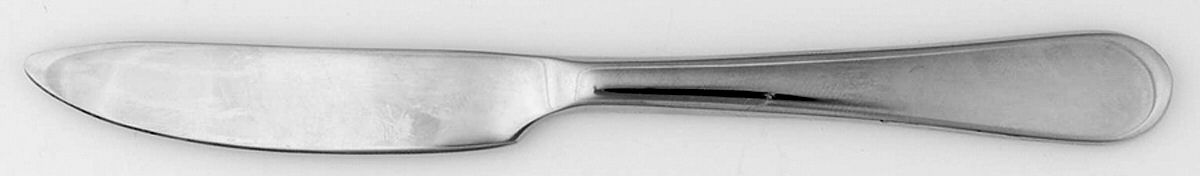 Icarus (Stainless) Master Butter Spreader, Solid Piece by Oneida Silver-1