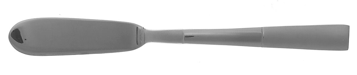 Echo (Stainless) Flat Handle Master Butter Knife by Oneida Silver-1