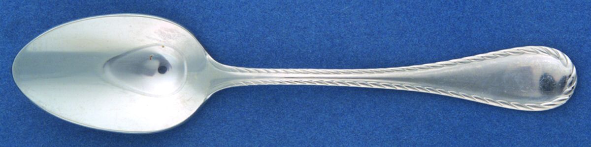 Belmont-Lyons (Stainless) Teaspoon by Oneida Silver-1