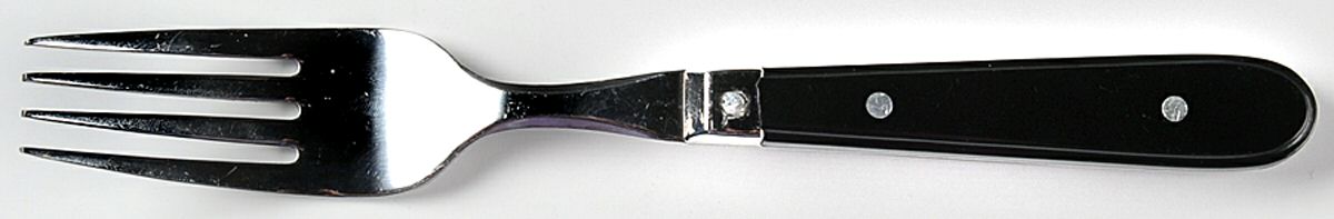 Country Color-Black (Stainless) Fork by Oneida Silver-1