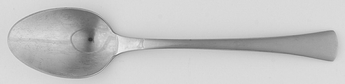Cygnet (Stainless) Teaspoon by Oneida Silver-1