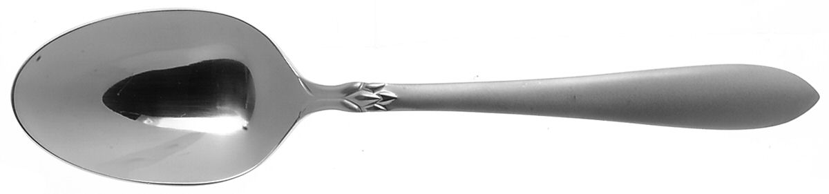 Simba (Stainless) Tablespoon (Serving Spoon) by Oneida Silver-1