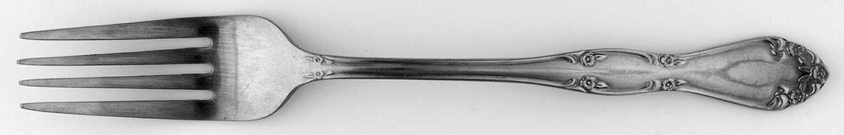 OHS260 (Stainless) Fork by Oneida Silver-1