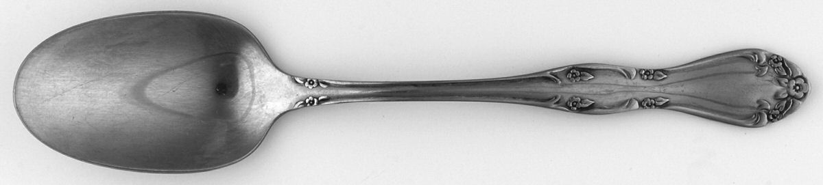 OHS260 (Stainless) Teaspoon by Oneida Silver-1