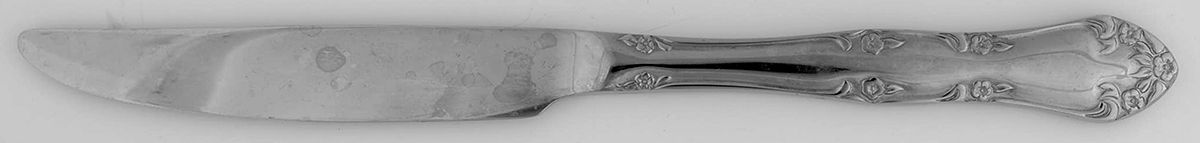 OHS260 (Stainless) New French Solid Knife by Oneida Silver-1