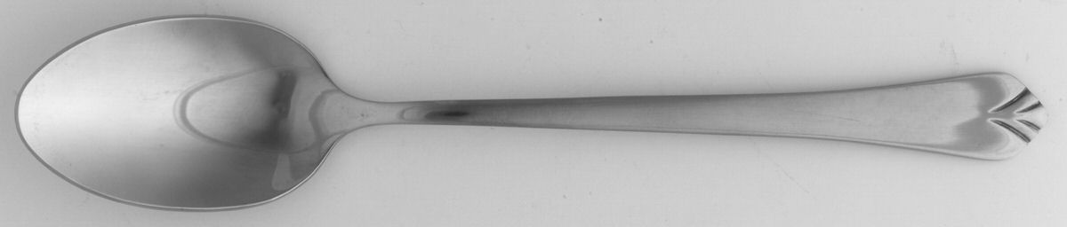 Scintilla (Stainless) Teaspoon by Oneida Silver-1
