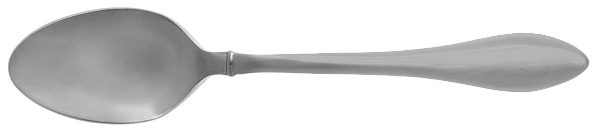 Jackson (Stainless) Teaspoon by Oneida Silver-1