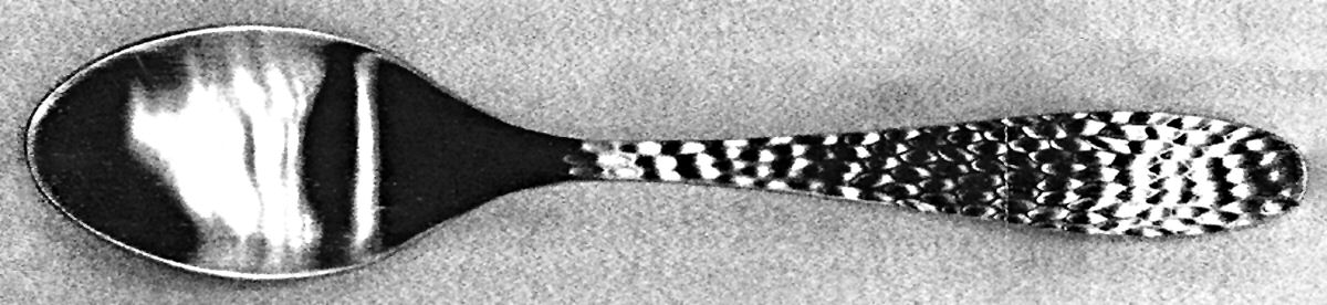 OHS286 (Stainless) Teaspoon by Oneida Silver-1