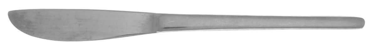 Edisto (Stainless) Flat Handle Master Butter Knife by Oneida Silver-1