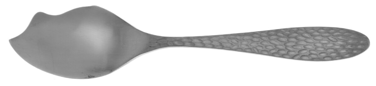 Sydney (Stainless) Jelly Server Solid HC by Oneida Silver-1