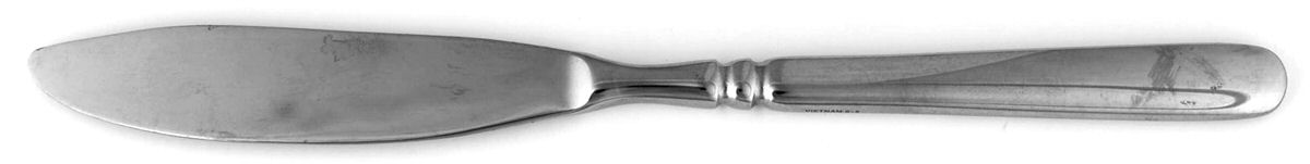 Eastview (Stainless) Flat Handle Master Butter Knife by Oneida Silver-1