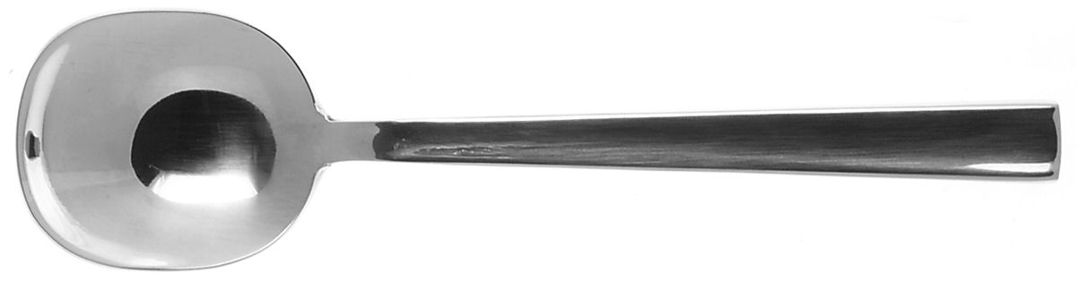 Oakland (Stainless) Sugar Spoon by Oneida Silver-1