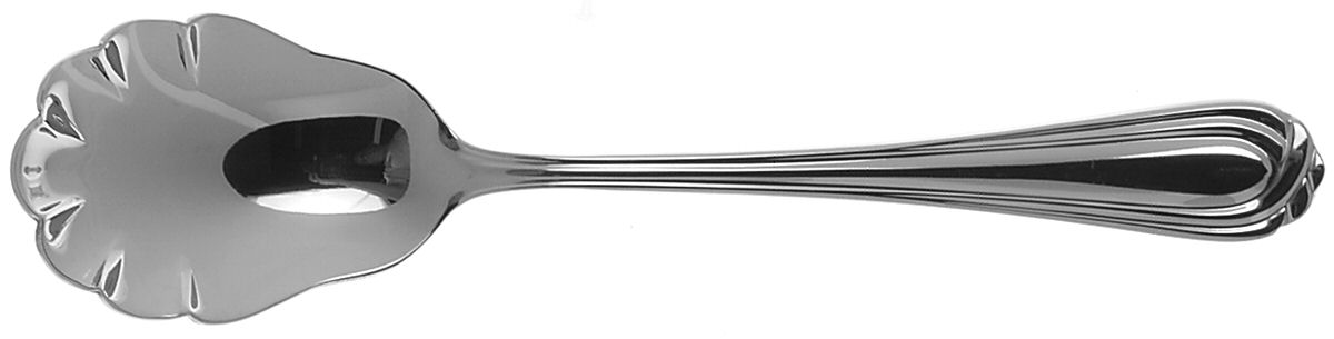 Ottawa (Stainless) Sugar Shell Spoon by Oneida Silver-1