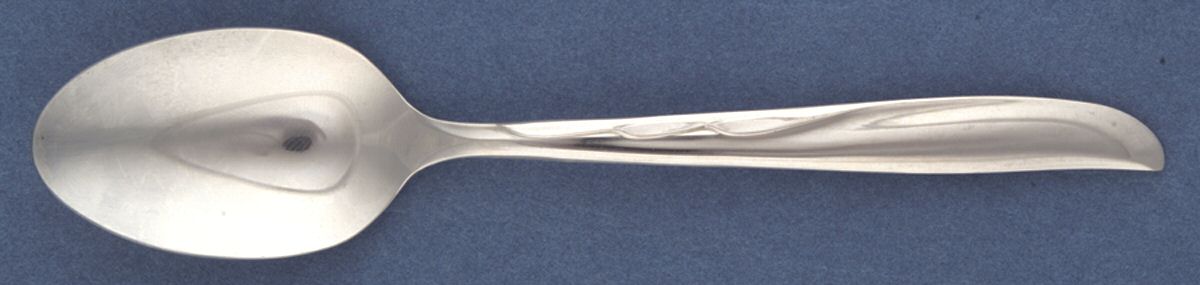 Duchess (Stainless) Teaspoon by Oneida Silver-1
