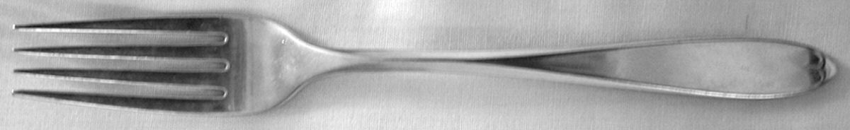 OHS305 (Stainless) Fork by Oneida Silver-1