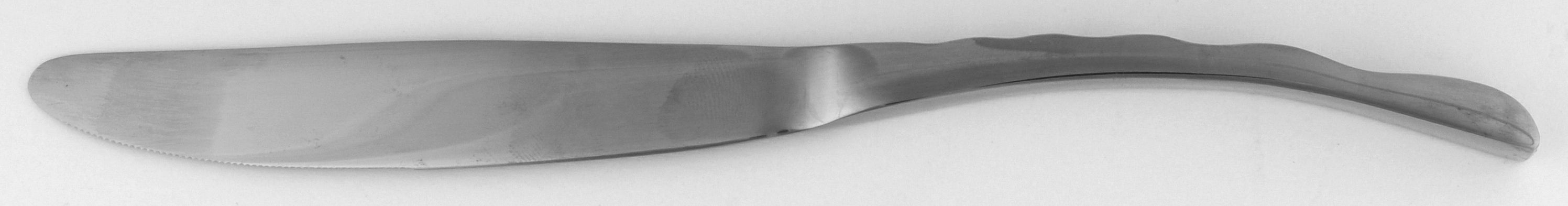Enterprise (Stainless) Modern Solid Knife by Oneida Silver-1