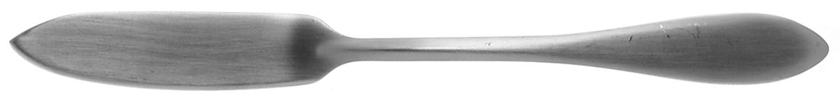 Morrison (Stainless) Flat Handle Master Butter Knife by Oneida Silver-1