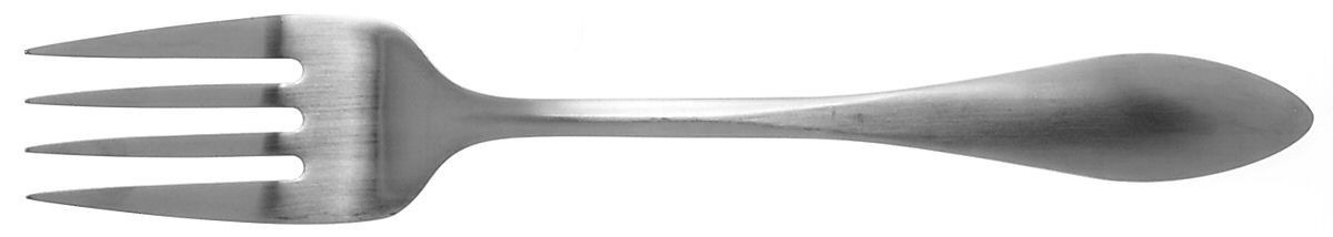 Morrison (Stainless) Medium Solid Cold Meat Serving Fork by Oneida Silver-1
