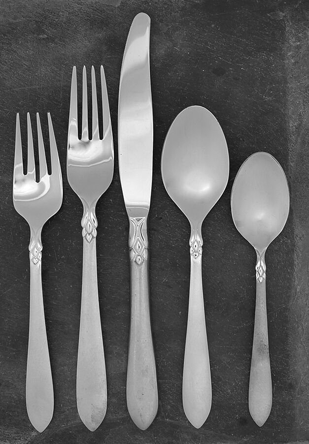Jacqueline (Stainless) 5 Piece Place Setting by Oneida Silver-1
