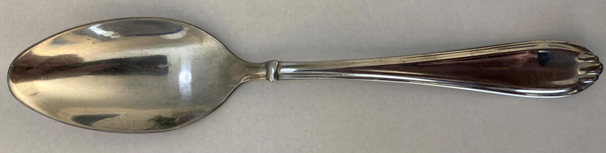 Sinclair (Stainless) Place/Oval Soup Spoon by Oneida Silver-1