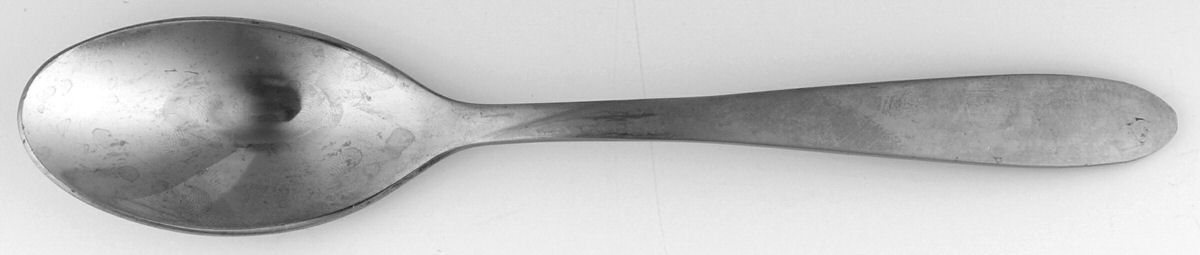 Tranquility (Stainless) Teaspoon by Oneida Silver-1