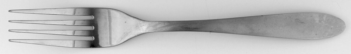 Tranquility (Stainless) Fork by Oneida Silver-1
