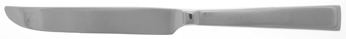 Techny (Stainless) New French Solid Knife by Oneida Silver-1