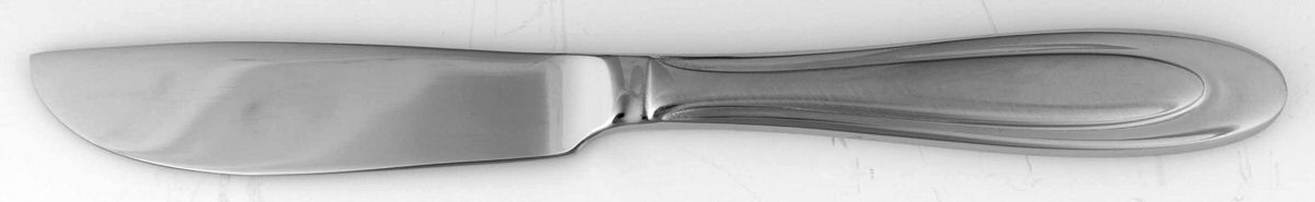 Aurora (Stainless) Master Butter Spreader, Solid Piece by Oneida Silver-1