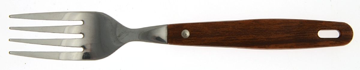 Teak (Stainless) Individual Salad Fork by Oneida Silver-1