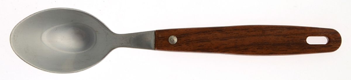 Teak (Stainless) Teaspoon by Oneida Silver-1