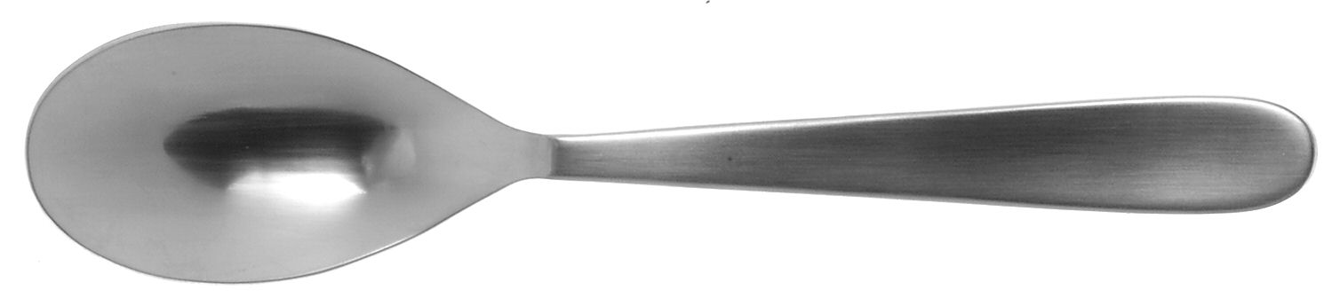 Hallendale Brushed (Stainless) Tablespoon (Serving Spoon) by Oneida Silver-1