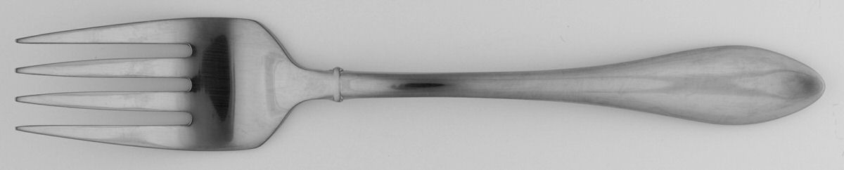 Jackson-Mirror (Stainless) Medium Solid Cold Meat Serving Fork by Oneida Silver-1