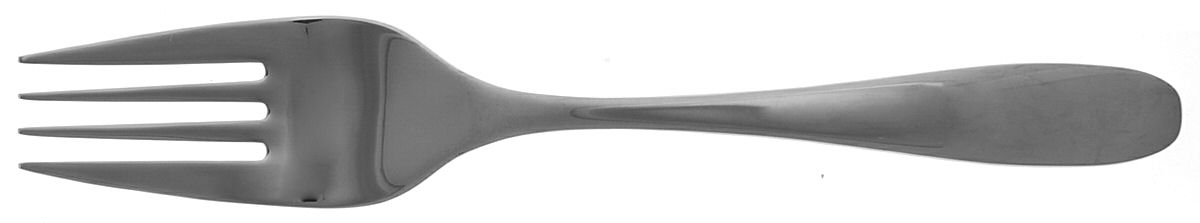 Stafford-Mirror (Stainless) Medium Solid Cold Meat Serving Fork by Oneida Silver-1
