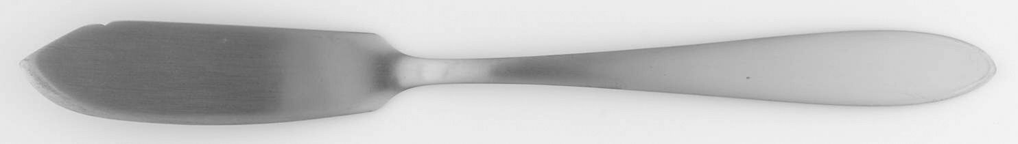 Taylor (Stainless) Flat Handle Master Butter Knife by Oneida Silver-1