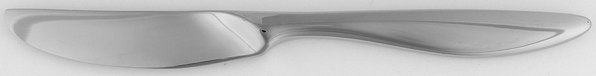 Asteria (Stainless) Hollow Handle Master Butter Knife by Oneida Silver-1