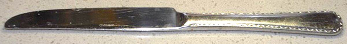 OHS355 (Stainless) New French Solid Knife by Oneida Silver-1