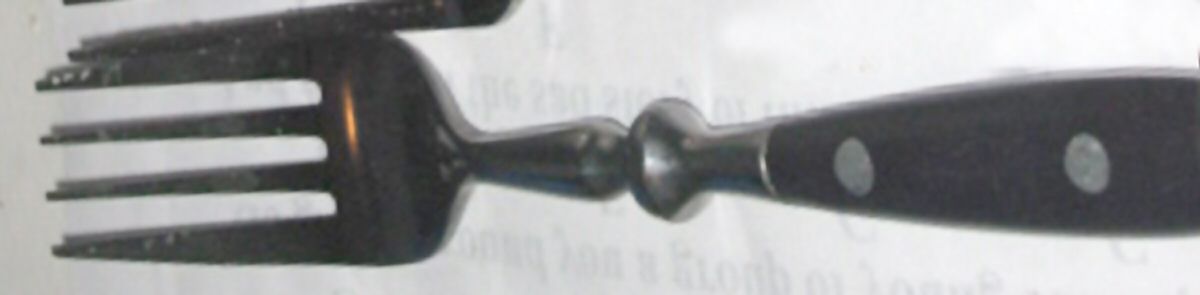 OHS371 (Stainless) Individual Salad Fork by Oneida Silver-1