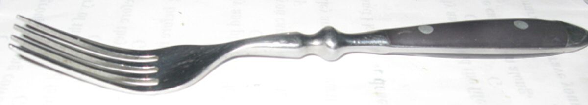 OHS371 (Stainless) Fork by Oneida Silver-1