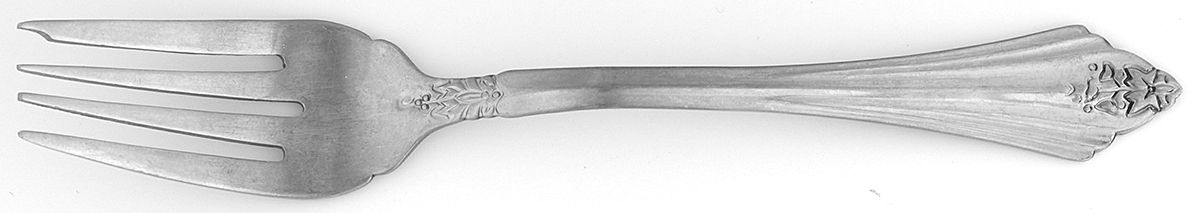 OHS377 (Stainless) Individual Salad Fork by Oneida Silver-1