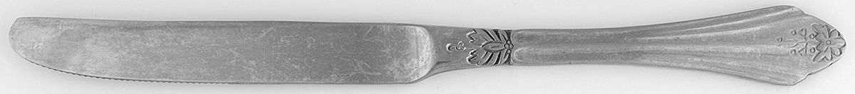 OHS377 (Stainless) New French Solid Knife by Oneida Silver-1