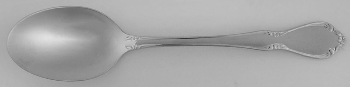 Chateau (Stainless, Frosted) Place/Oval Soup Spoon by Oneida Silver-1