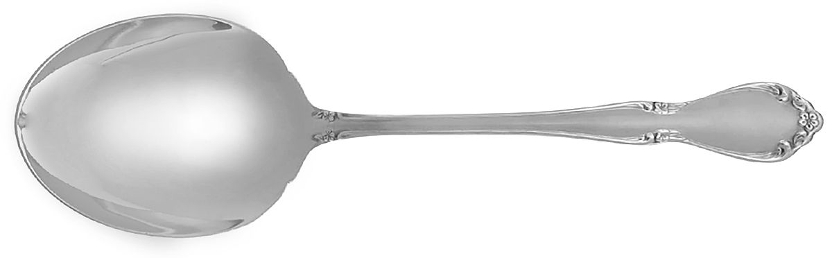 Chateau (Stainless, Frosted) Solid Smooth Casserole Spoon by Oneida Silver-1