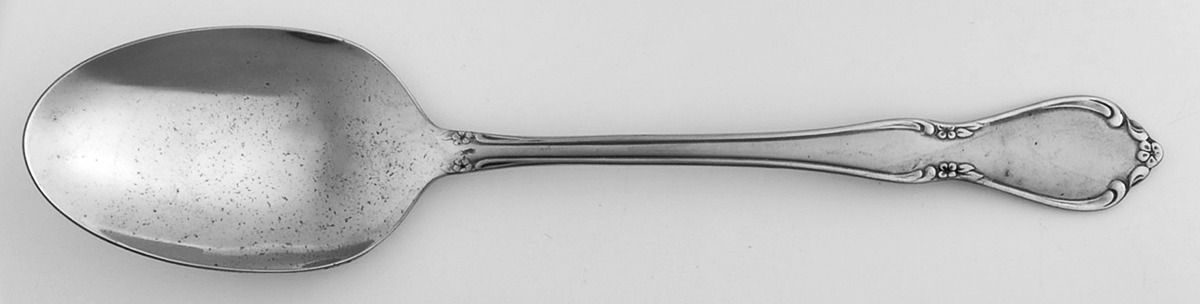 Chateau (Stainless, Frosted) Tablespoon (Serving Spoon) by Oneida Silver-1